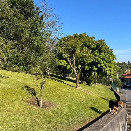 Bamboo Πανσιόν 3*