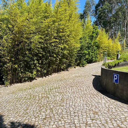 Πανσιόν Bamboo 3*