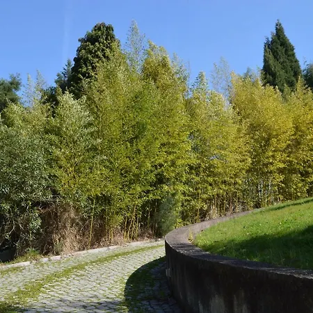Bamboo Águeda