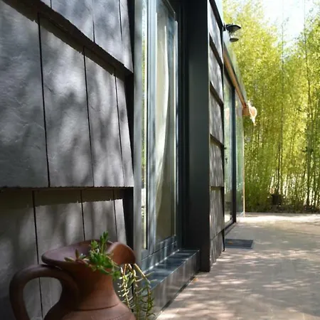 Bamboo Águeda