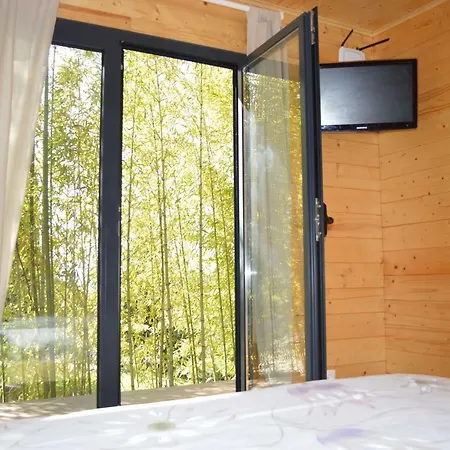 Bamboo 3*