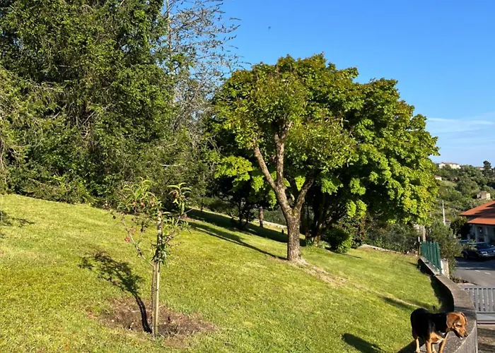 Bamboo Гостевой дом 3*