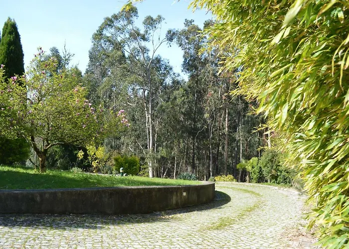 Bamboo Гостевой дом Агеда